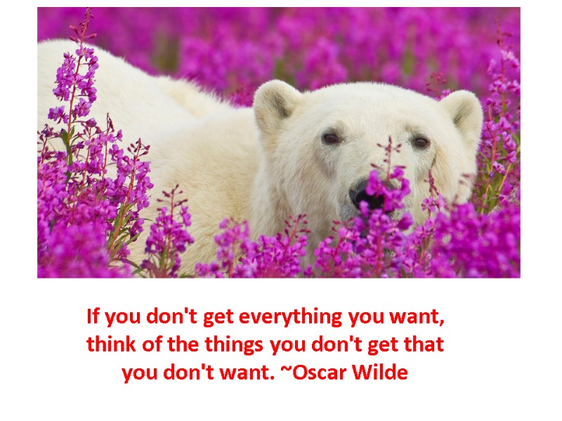 If you don't get everything you want, think of the things you don't get